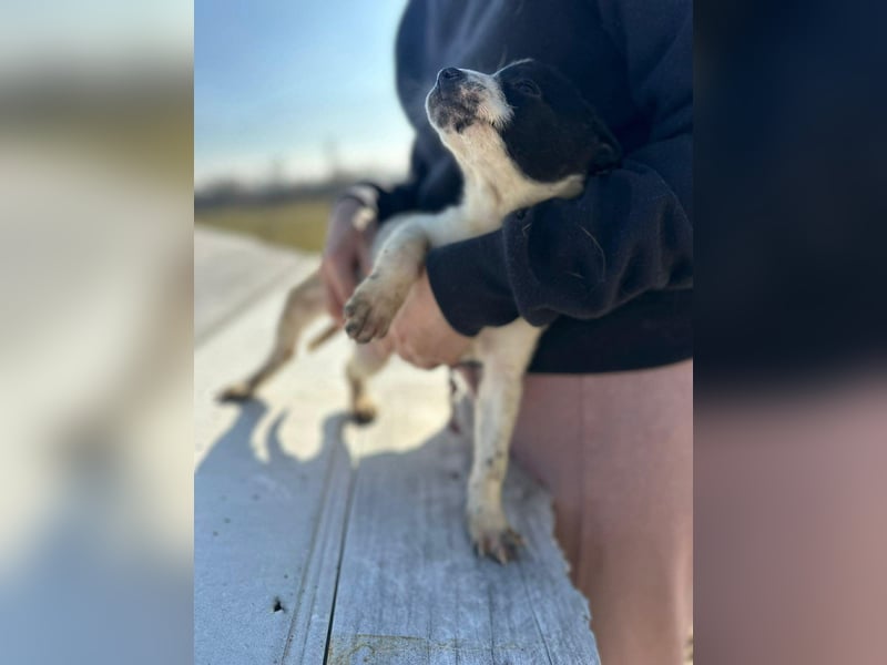 Xenia, süß, süsser - mehr geht nicht