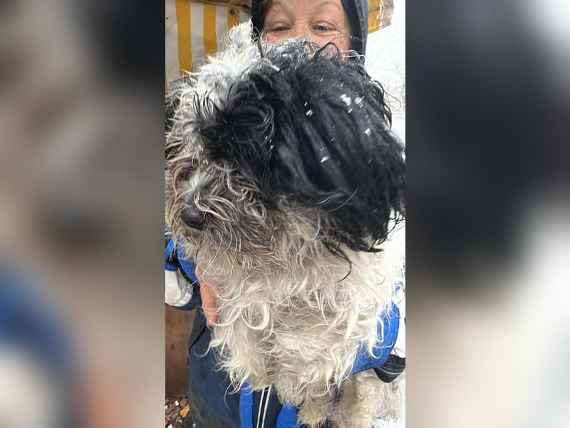 Henry, seid Ihr bereit für mich