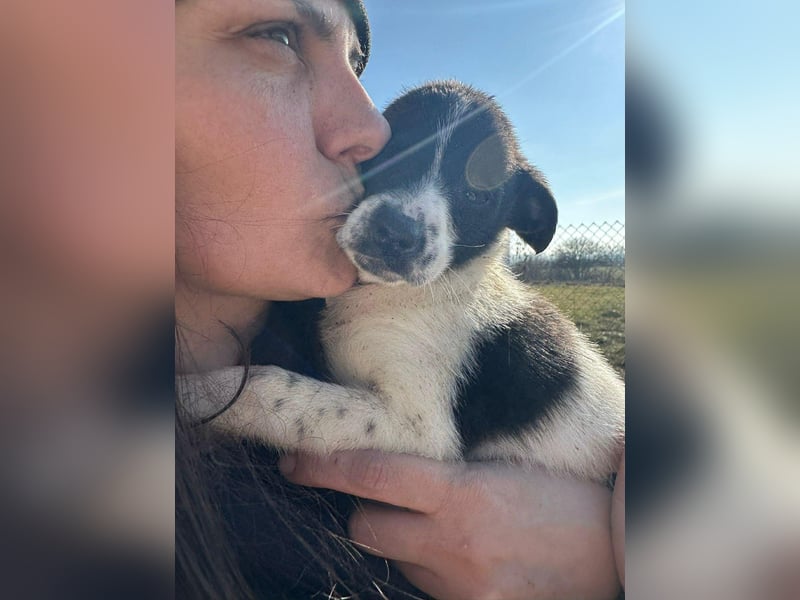 Xenia, süß, süsser - mehr geht nicht