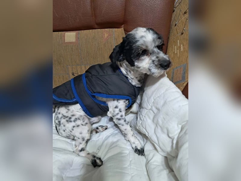 Henry, seid Ihr bereit für mich