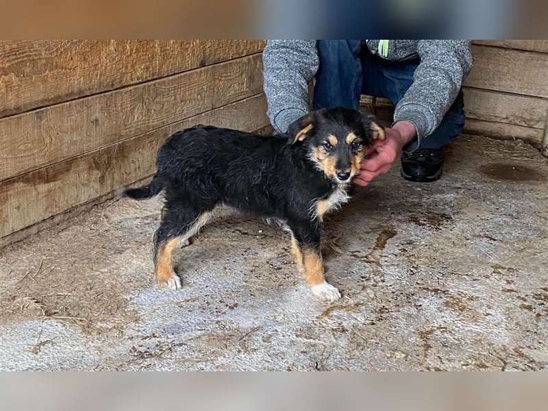 MOJCA ❤  wartet in 30449 Hannover auf Dich