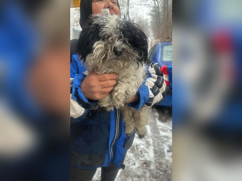 Henry, seid Ihr bereit für mich