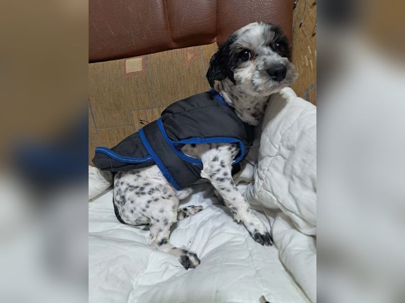 Henry, seid Ihr bereit für mich