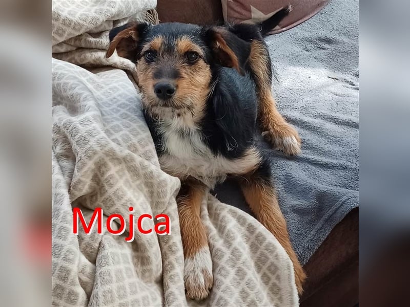 MOJCA ❤  wartet in 30449 Hannover auf Dich