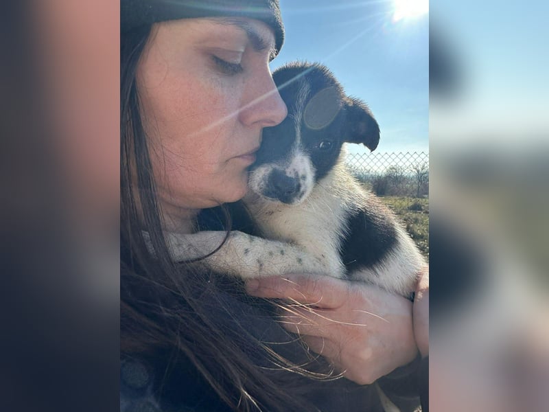 Xenia, süß, süsser - mehr geht nicht