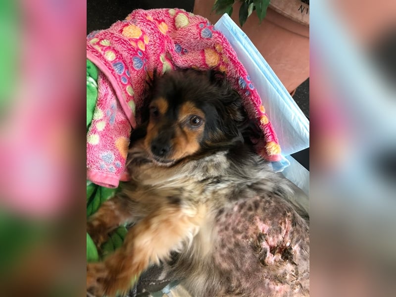 REA wartet in 30855 Langenhagen auf Dich