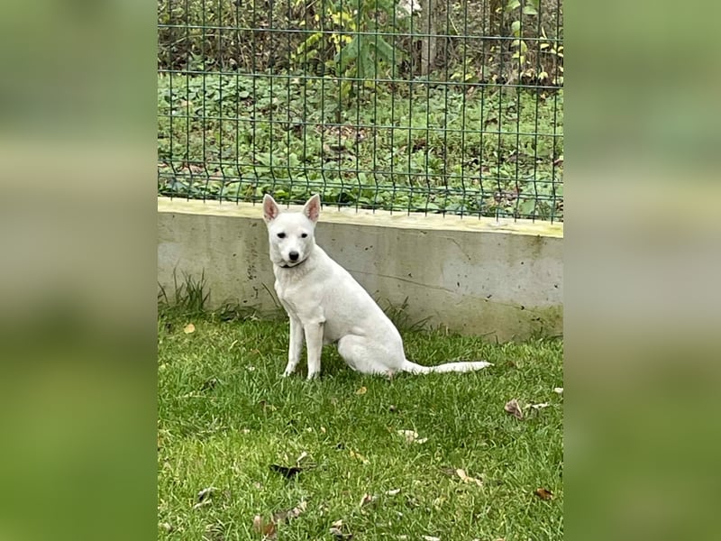 Suri - bereit für neue Abenteuer!