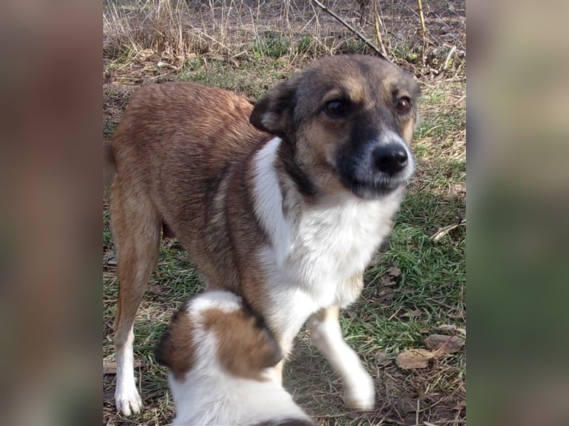 XOWIE ❤  wartet in 56379 Singhofen auf DICH