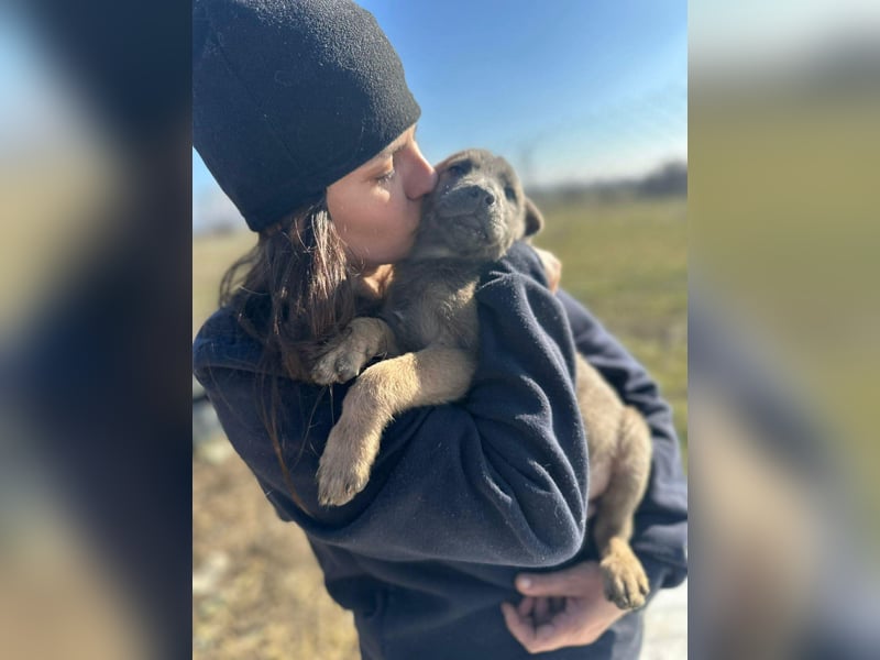 Xerox, süßer geht fast nicht