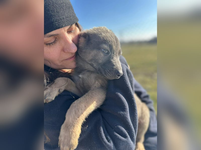 Xerox, süßer geht fast nicht