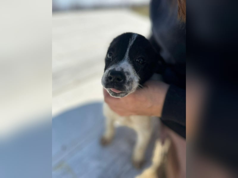 Xenia, süß, süsser - mehr geht nicht