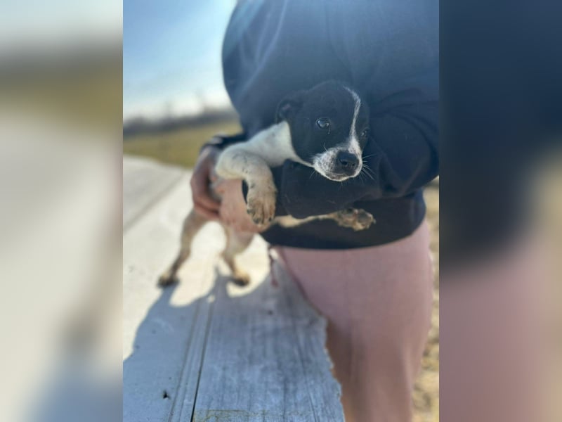 Xenia, süß, süsser - mehr geht nicht