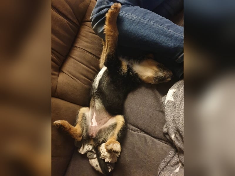 MOJCA ❤  wartet in 30449 Hannover auf Dich