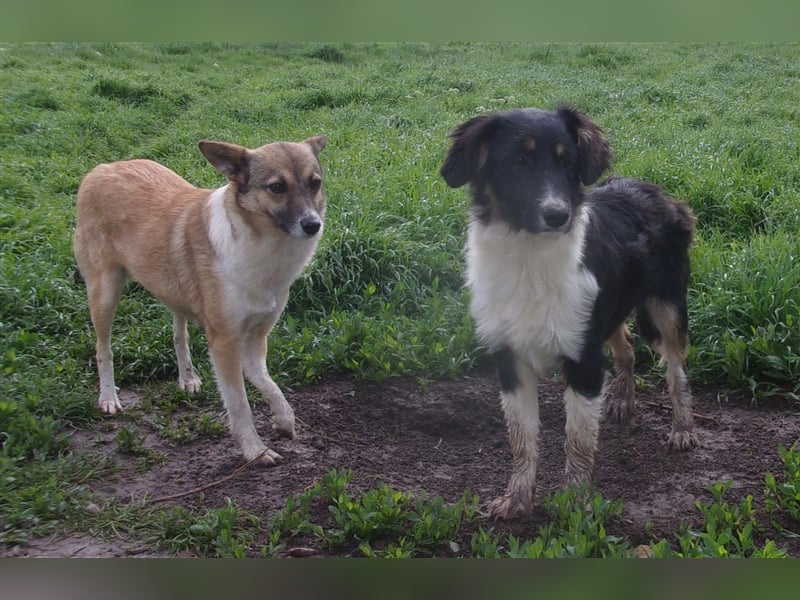 XOWIE ❤  wartet in 56379 Singhofen auf DICH