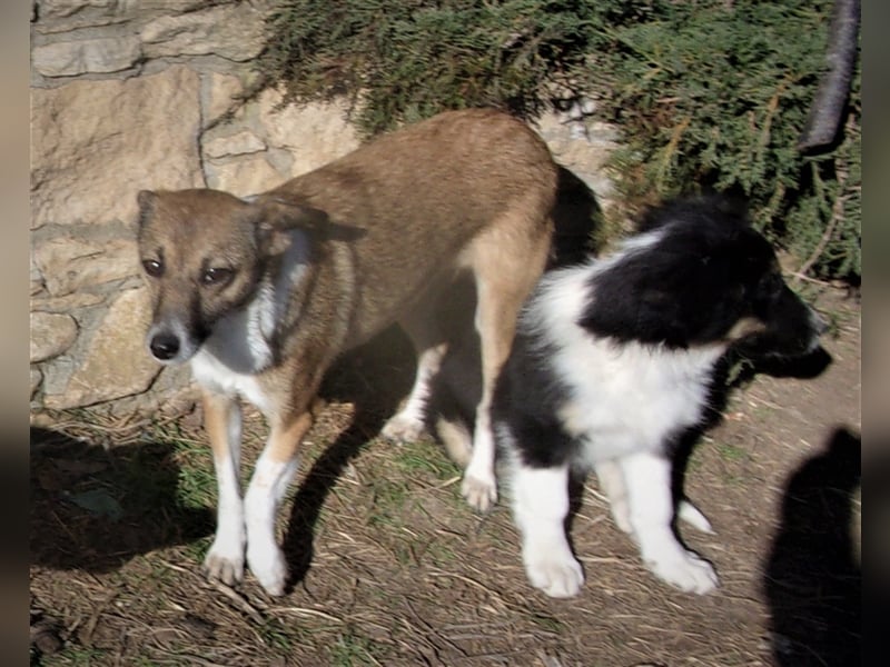 XOWIE ❤  wartet in 56379 Singhofen auf DICH