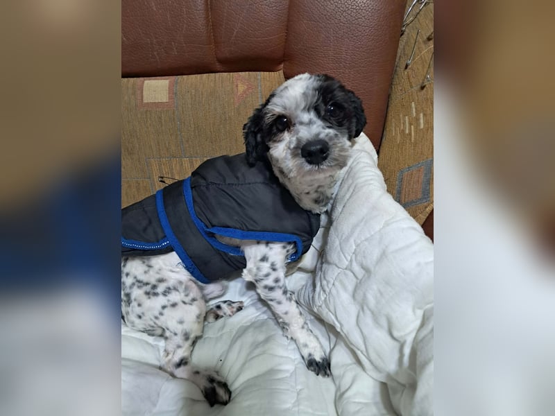 Henry, seid Ihr bereit für mich