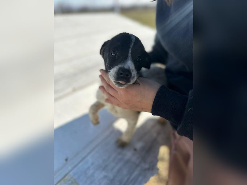 Xenia, süß, süsser - mehr geht nicht