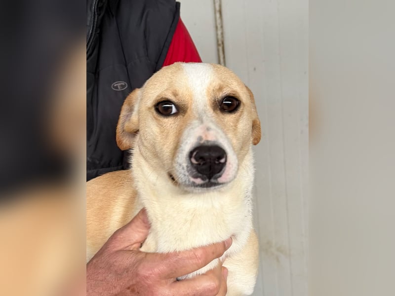 VITO - süßes kleines Kerlchen