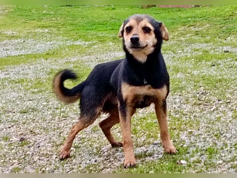 MIO - süßer Racker