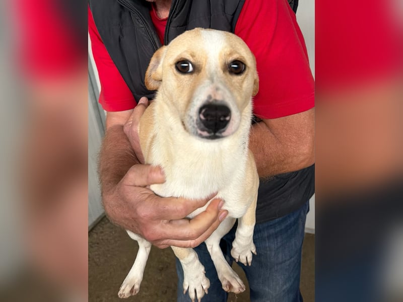 VITO - süßes kleines Kerlchen