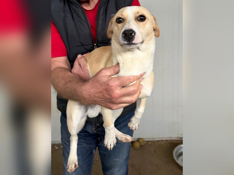 VITO - süßes kleines Kerlchen