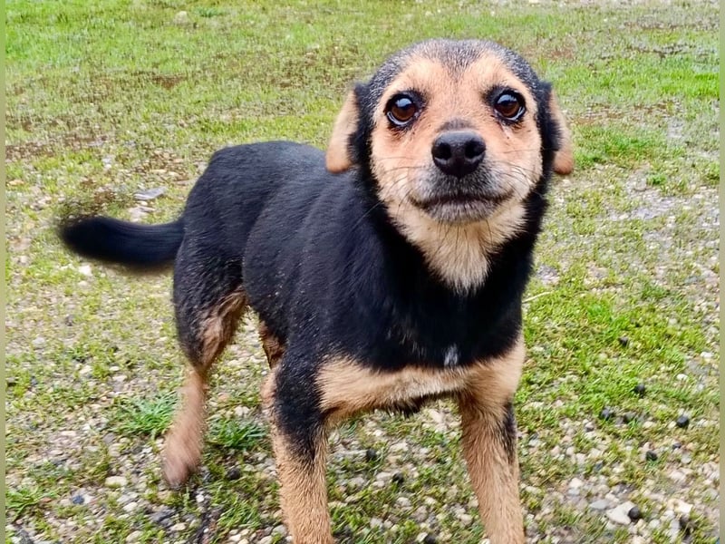 MIO - süßer Racker