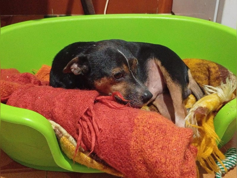 TIMO - süßes Kerlchen