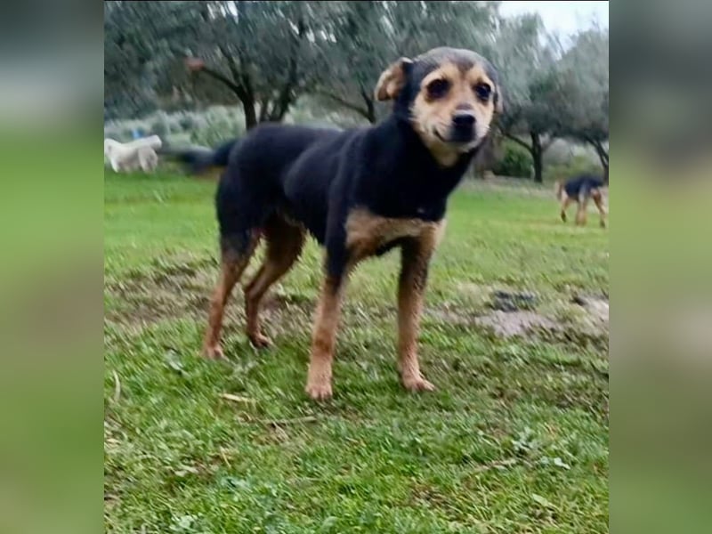 MIO - süßer Racker