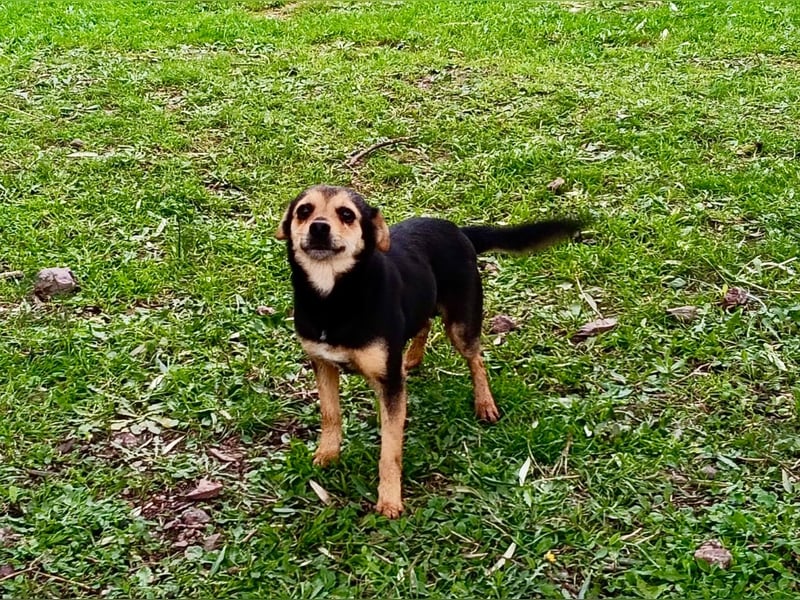 MIO - süßer Racker