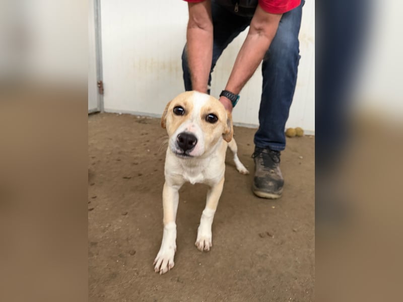 VITO - süßes kleines Kerlchen