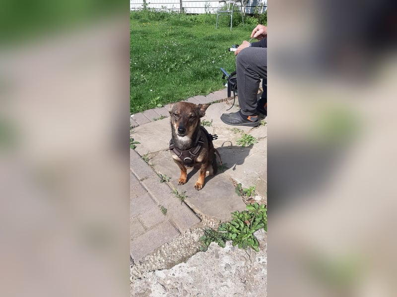 KARA ist fröhlich, aktiv und genießt ihre Freiheit