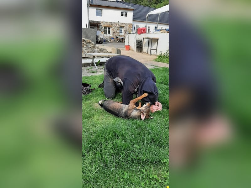 KARA ist fröhlich, aktiv und genießt ihre Freiheit