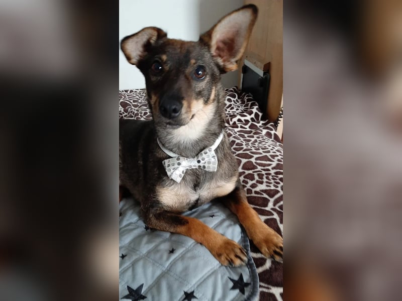 fröhliche KARA