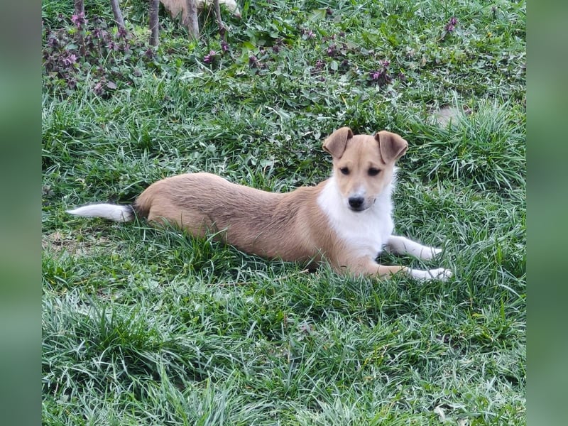 Lilly sucht eine eigene Familie