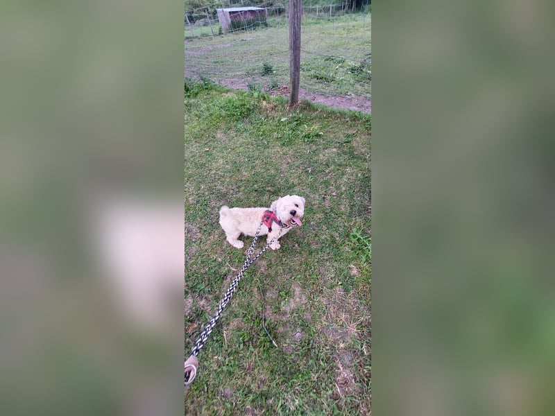 Duci - er gibt die Hoffnung nicht auf