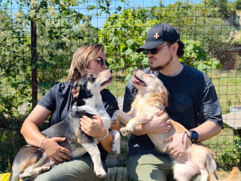 Chico - fröhlicher Herzenshund sucht seine Menschen