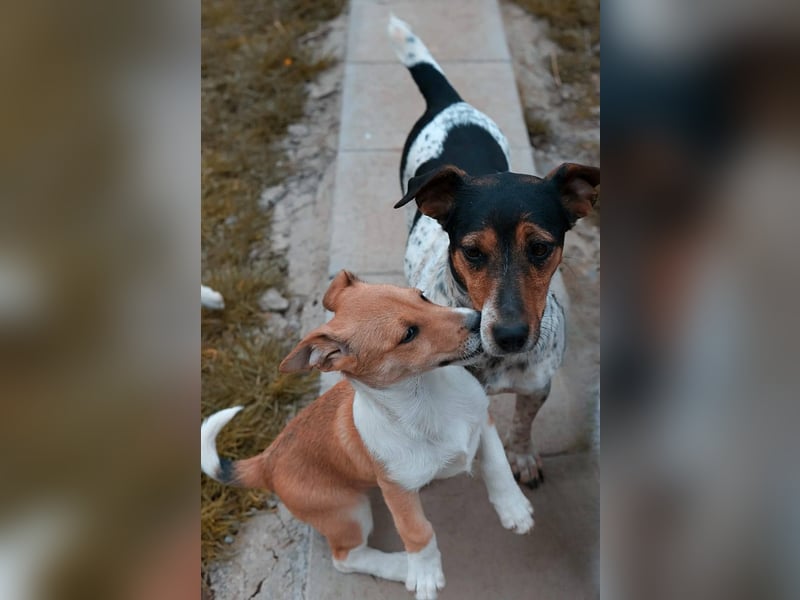 Lilly sucht eine eigene Familie