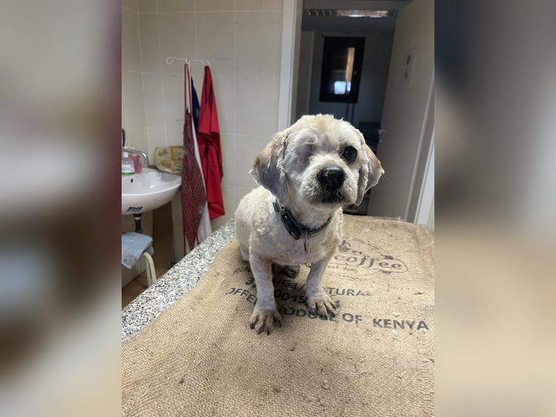 Duci - er gibt die Hoffnung nicht auf