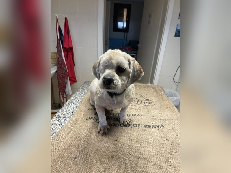 Duci - er gibt die Hoffnung nicht auf