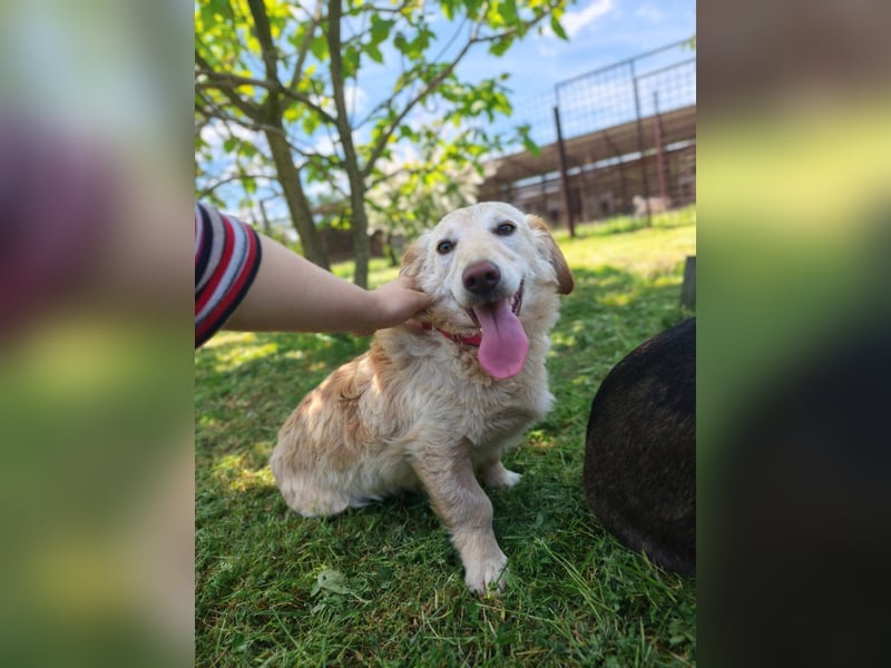 Luna sucht ein liebevolles Zuhause