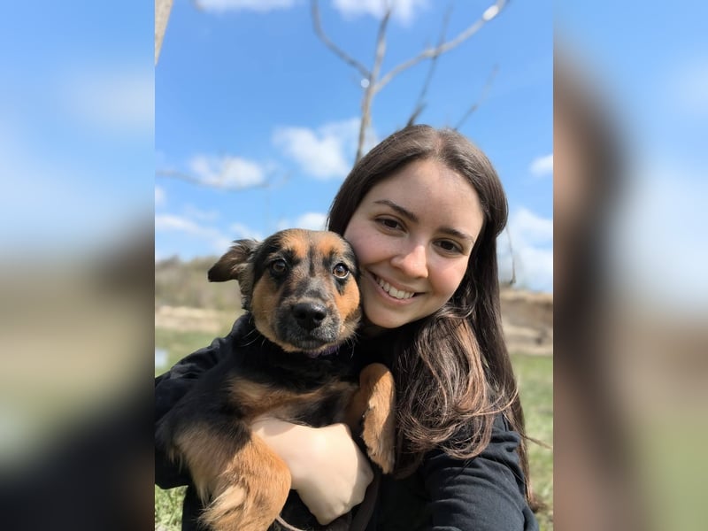 Zenya - freundliche, lebensfrohe Hündin sucht ein Zuhause