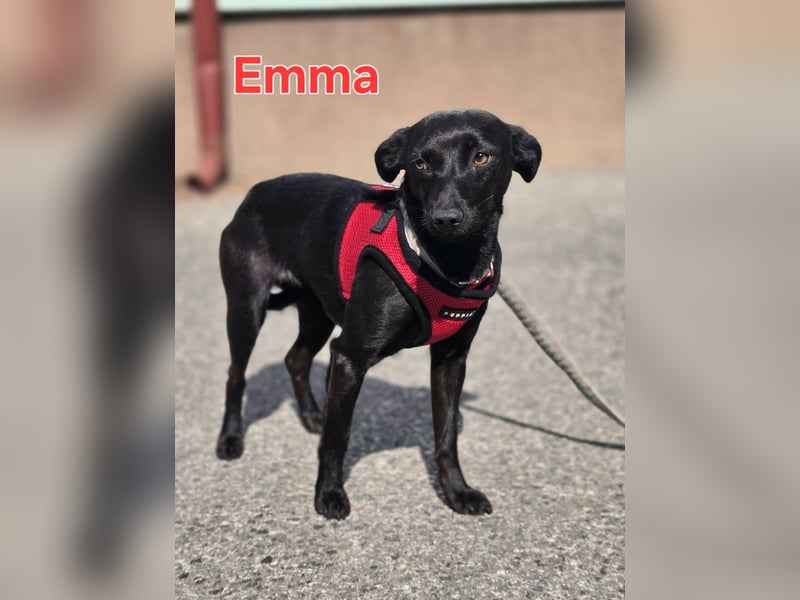 Emma, kleiner Sonnenschein
