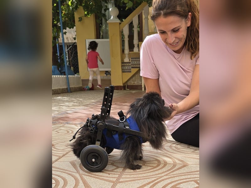 Alma - Handicaphund sucht Liebe