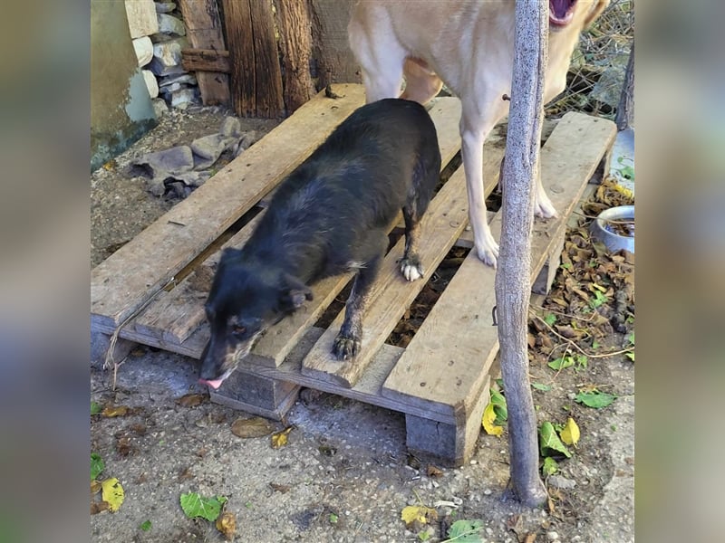 ZAFINA ❤ wartet in 52441 Linnich-Gereonsweiler auf DICH