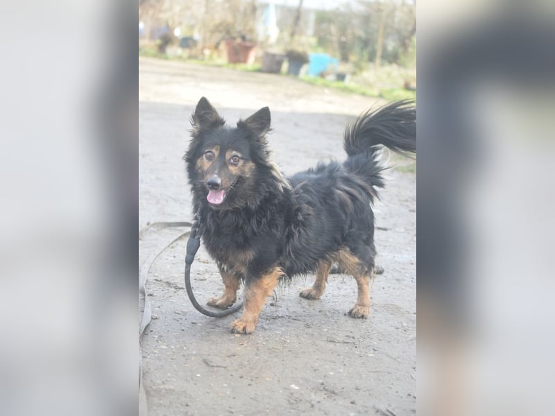 Stella - rüstige Seniorin die noch flott unterwegs ist