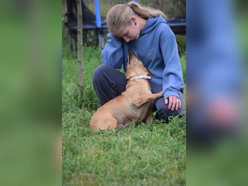 Pia - eine nette, freundliche, menschenbezogene Hündin