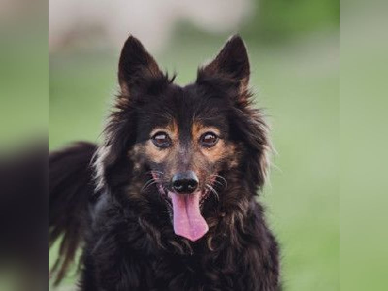 Stella - rüstige Seniorin die noch flott unterwegs ist