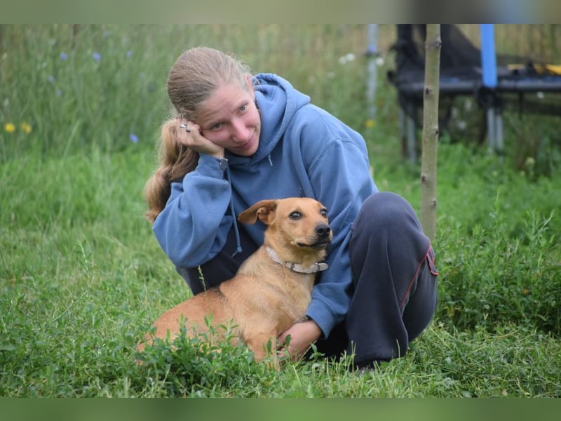 Pia - eine nette, freundliche, menschenbezogene Hündin