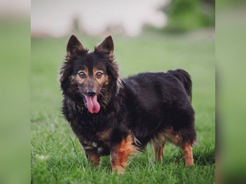 Stella - rüstige Seniorin die noch flott unterwegs ist