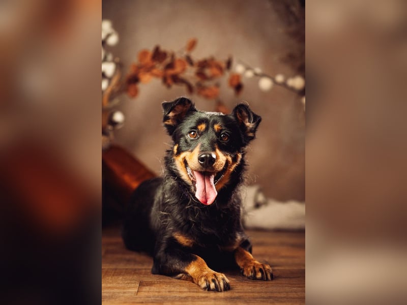 Lana - zeigt Lebensfreude und ist einfach nur total lieb